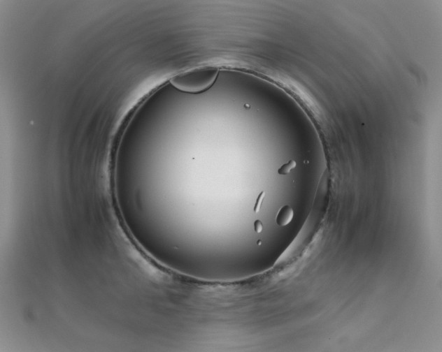 X0000112110902200908041539