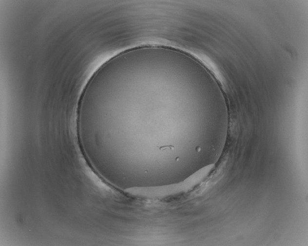 X0000112110903200908041539