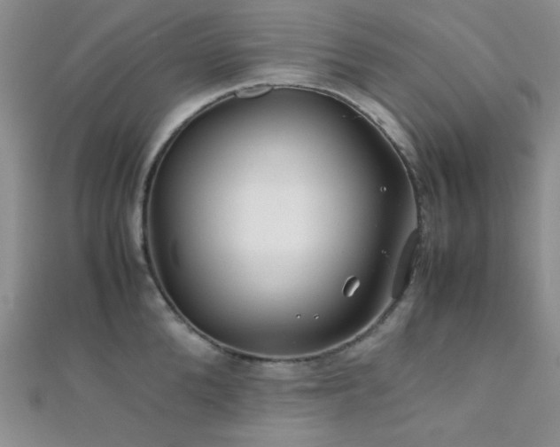 X0000112110904200908041539