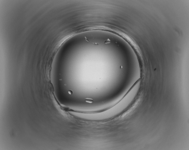 X0000112110905200908041539