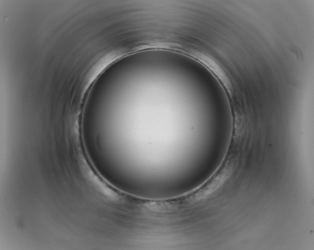 X0000112110906200908041538