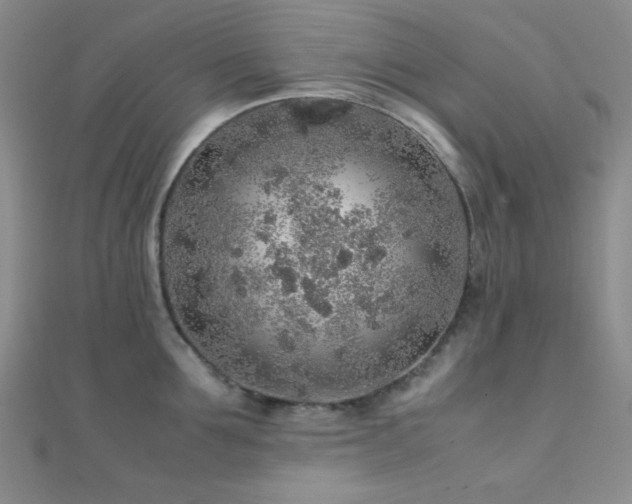 X0000112110907200908041538