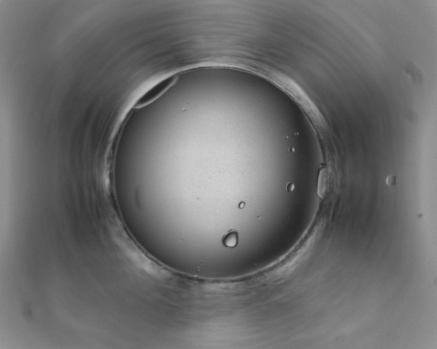 X0000112110908200908041538