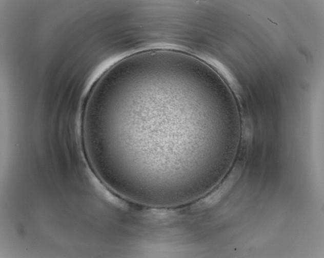 X0000112110910200908041538