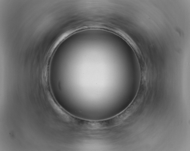 X0000112110911200908041538