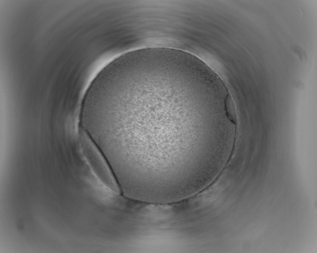 X0000112110912200908041538