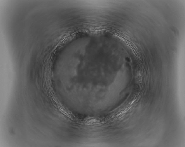 X0000112110913200908041538