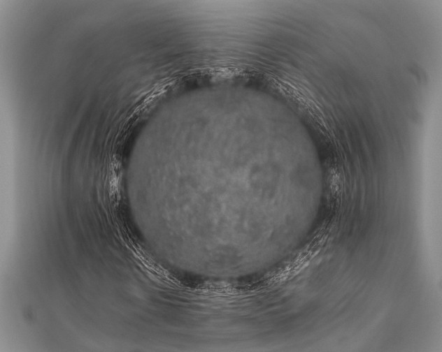 X0000112110914200908041538