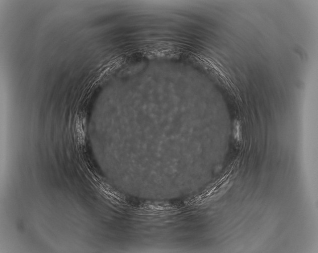 X0000112110915200908041538