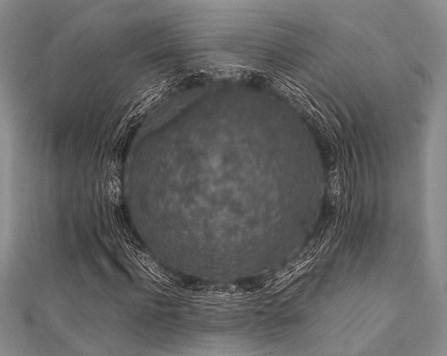 X0000112110916200908041538