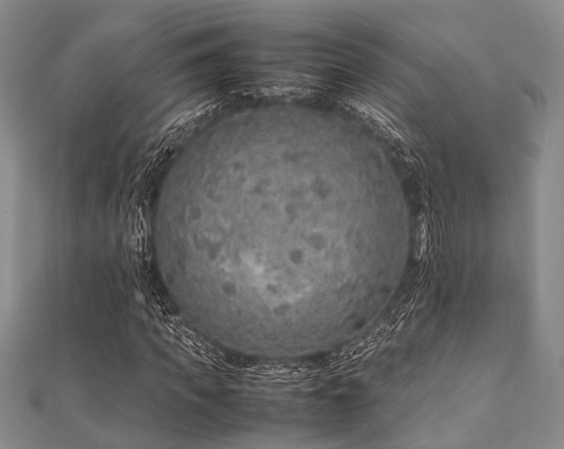 X0000112110917200908041538