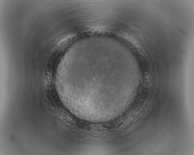 X0000112110918200908041538