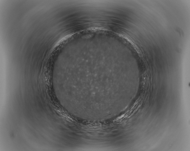 X0000112110919200908041538