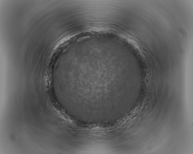 X0000112110920200908041538