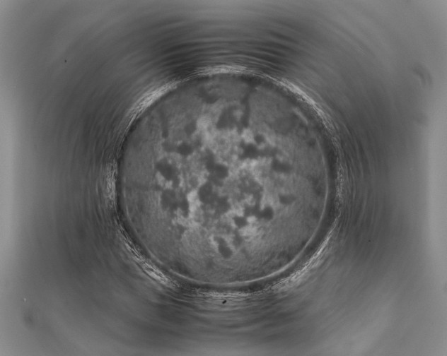 X0000112110921200908041538