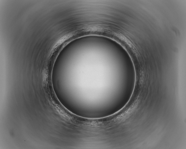 X0000112110922200908041538