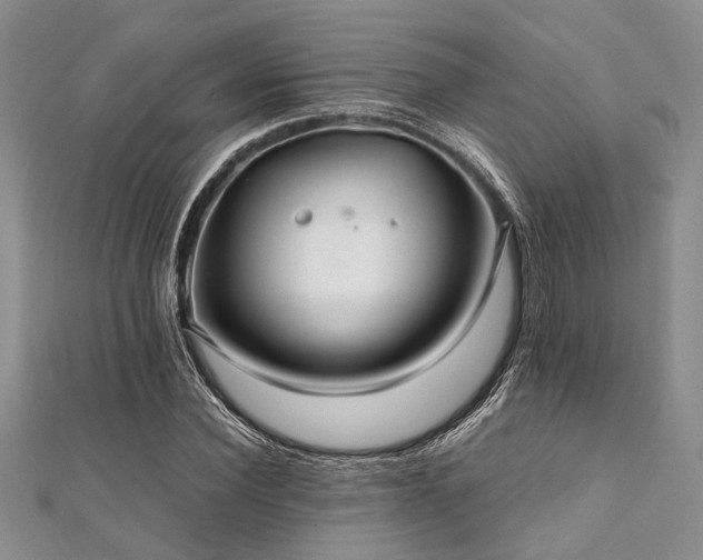 X0000112110924200908041538