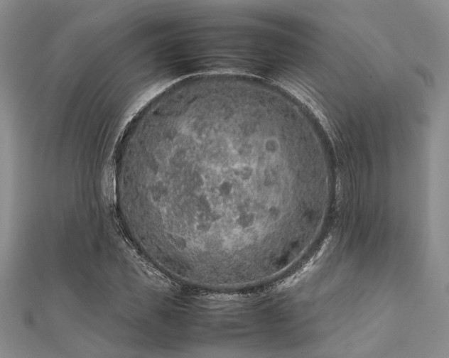 X0000112110925200908041538