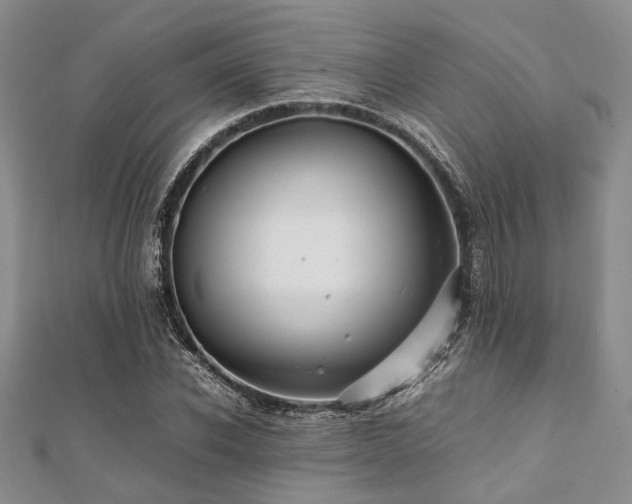 X0000112110926200908041538