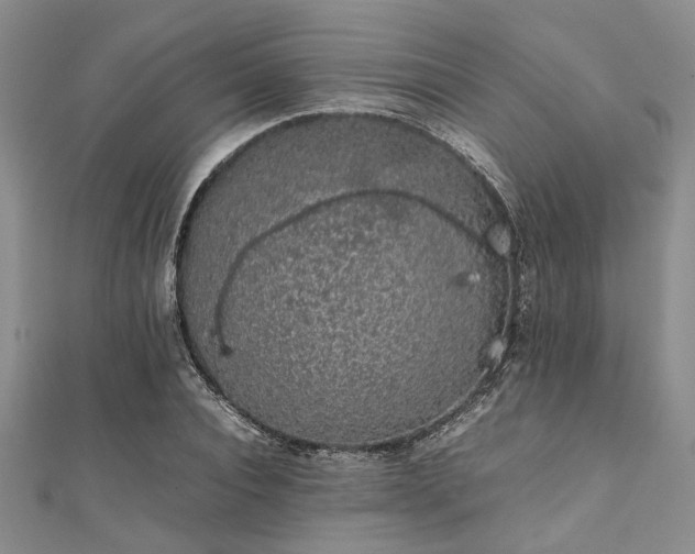 X0000112110928200908041538