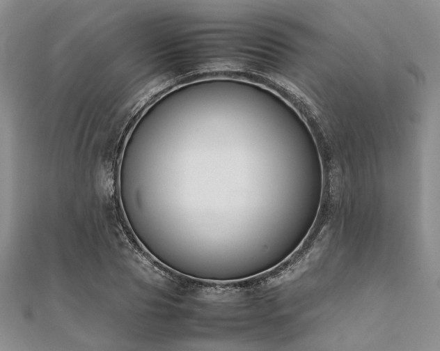 X0000112110929200908041538