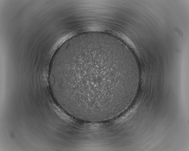 X0000112110930200908041538