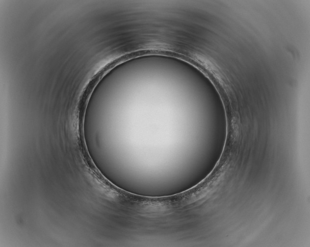 X0000112110931200908041538