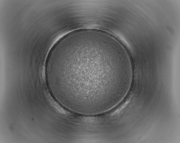 X0000112110932200908041538