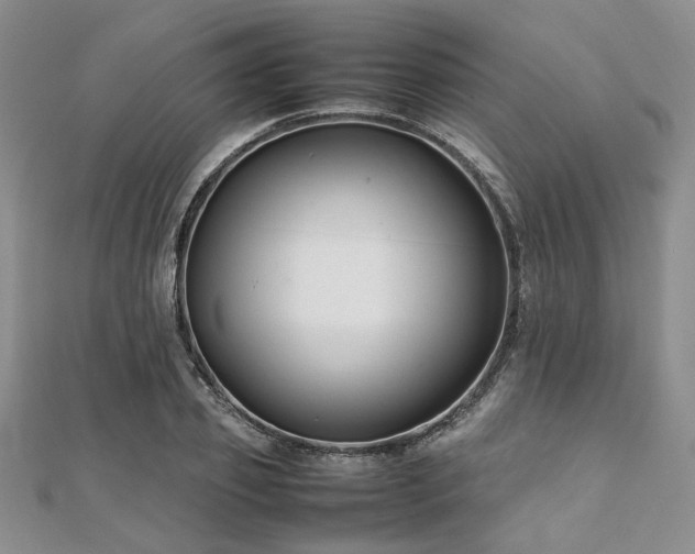 X0000112110933200908041538