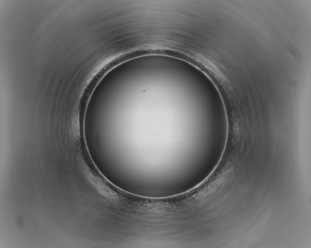 X0000112110934200908041538