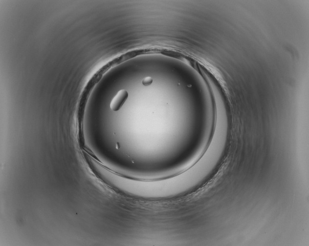 X0000112110936200908041538