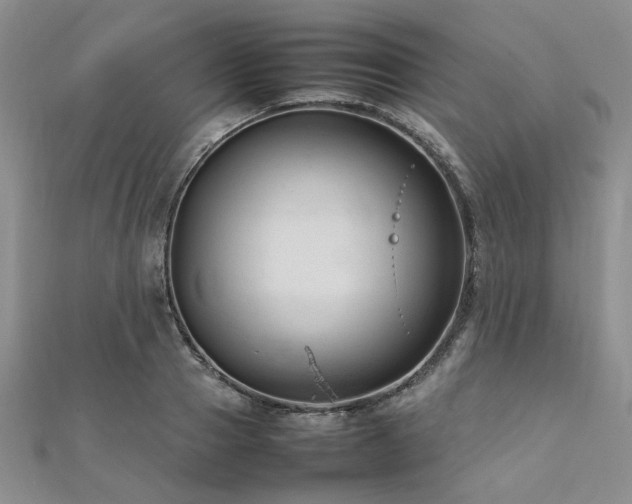 X0000112110937200908041538