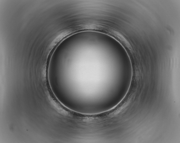 X0000112110938200908041538