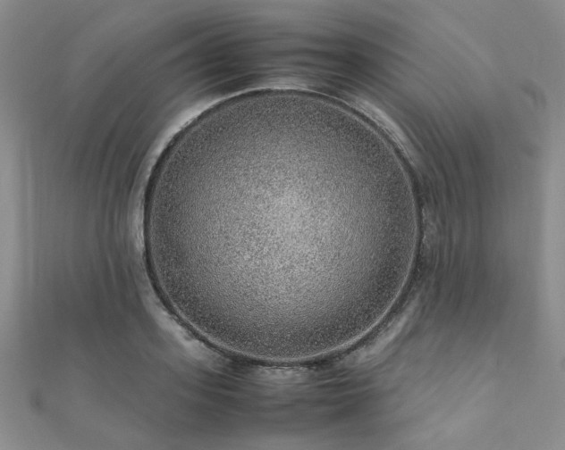 X0000112110939200908041538