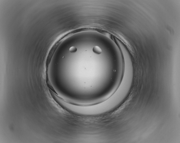 X0000112110940200908041538