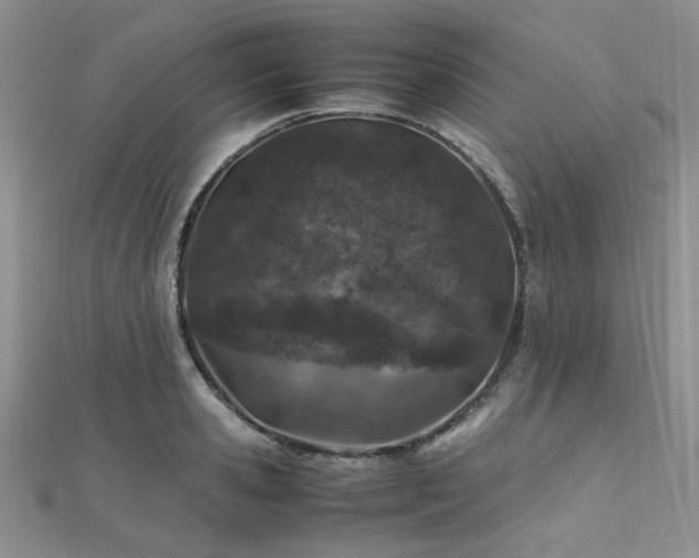 X0000112110941200908041538