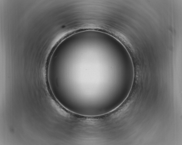 X0000112110942200908041538