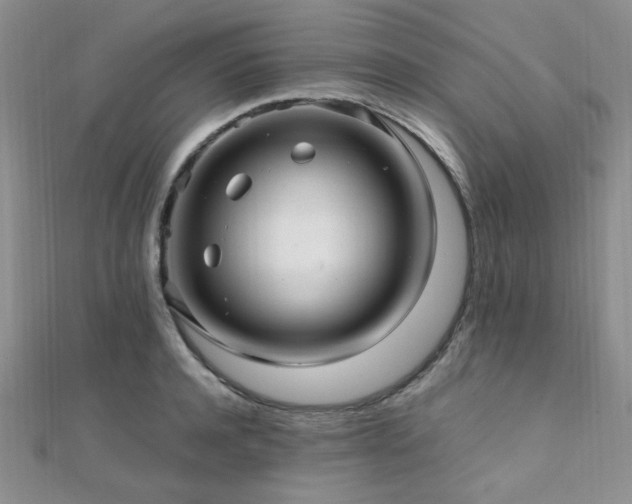 X0000112110944200908041538