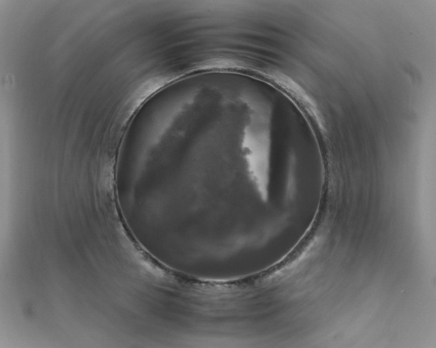 X0000112110945200908041538