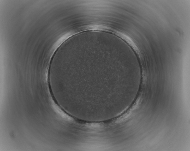 X0000112110946200908041538