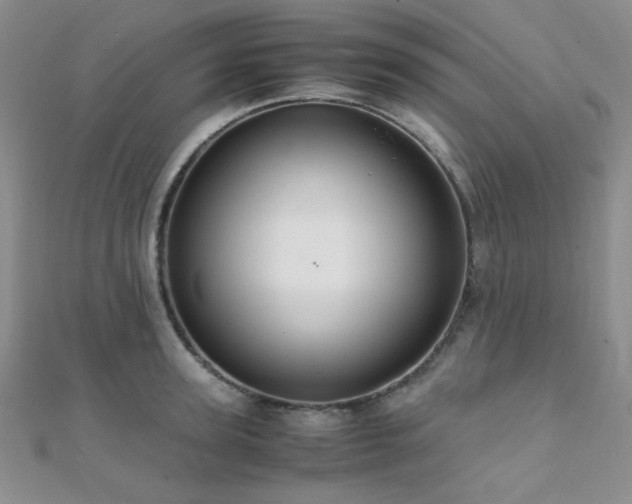 X0000112110947200908041538