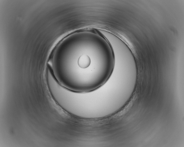 X0000112110948200908041538