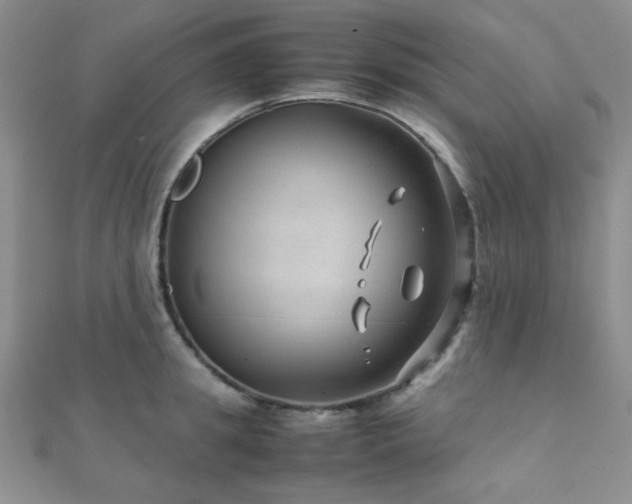 X0000112110949200908041538