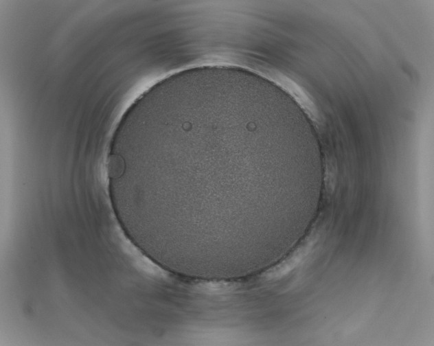 X0000112110950200908041538