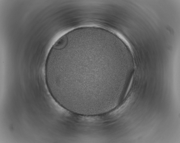 X0000112110951200908041538