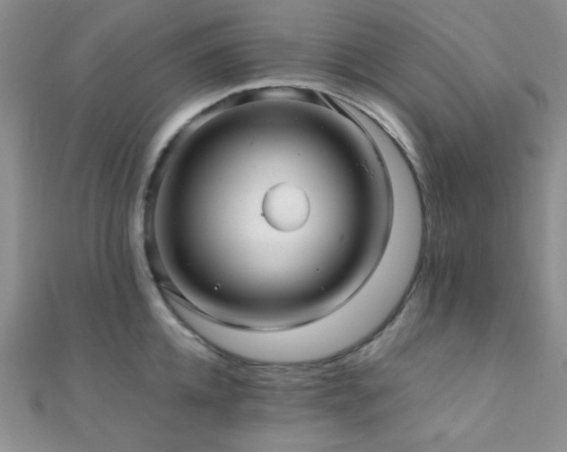 X0000112110952200908041538