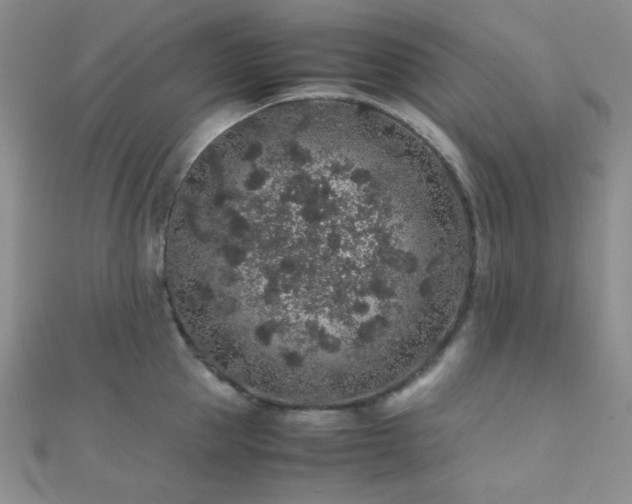 X0000112110953200908041538