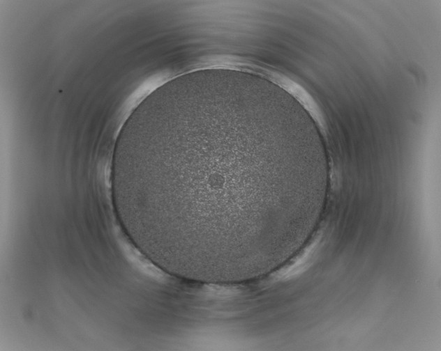 X0000112110954200908041538