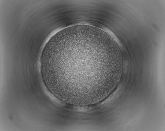 X0000112110955200908041538