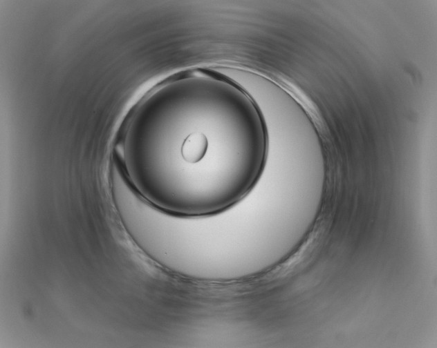 X0000112110956200908041538